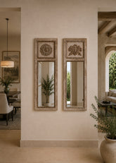 Rozetta Mirror